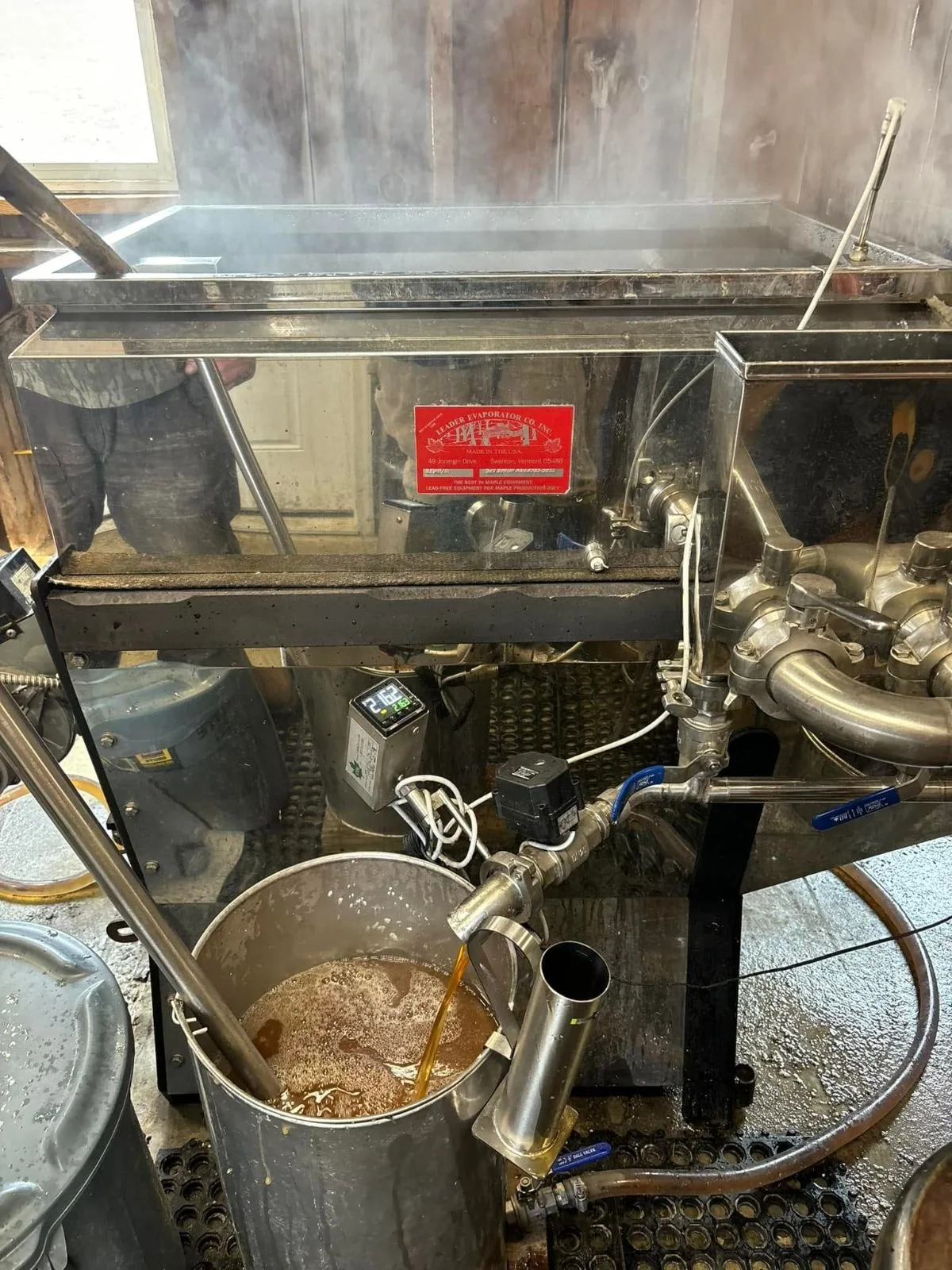 Fresh maple syrup drawn off into a stainless steel pail